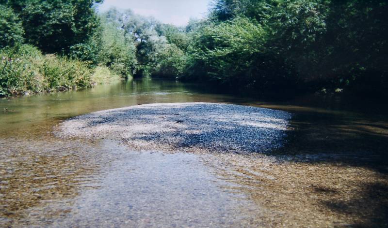 Kiesbänke, wie hier an der Brücke in Petershausen, sind eine Seltenheit in der Glonn.