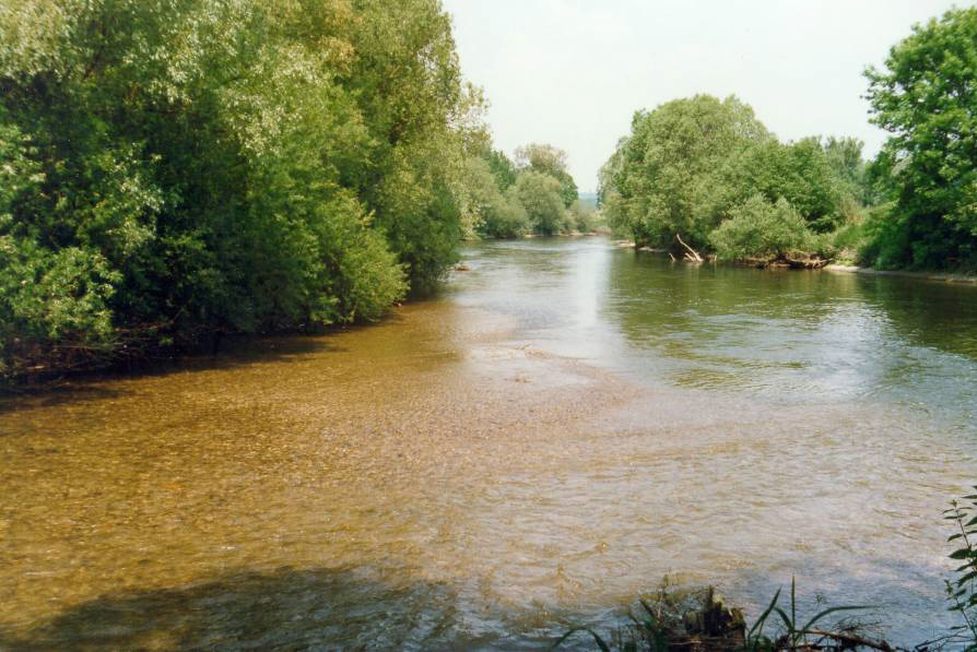 Mündung der Glonn in die Amper in Allershausen