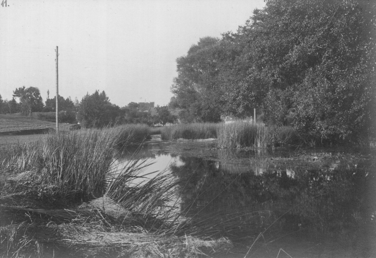 Vor der Regulierung bei Markt Indersdorf.<br>Das Wasser ist so stark angestaut, dass es kaum noch abfließen kann.