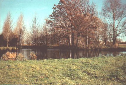 Der Jedenhofener Weiher um 1969