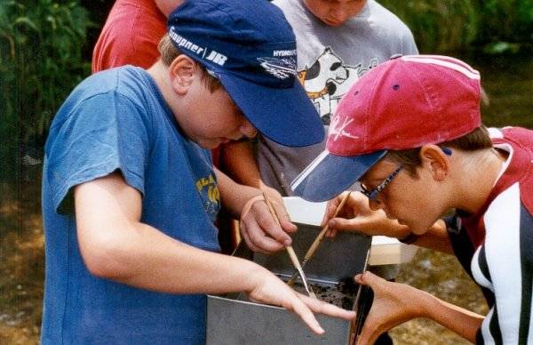 Hauptschule Erdweg:<br>mit dem Pinsel werden die Zeigertiere vorsichtig in die mit Wasser gefüllte Schale gesetzt