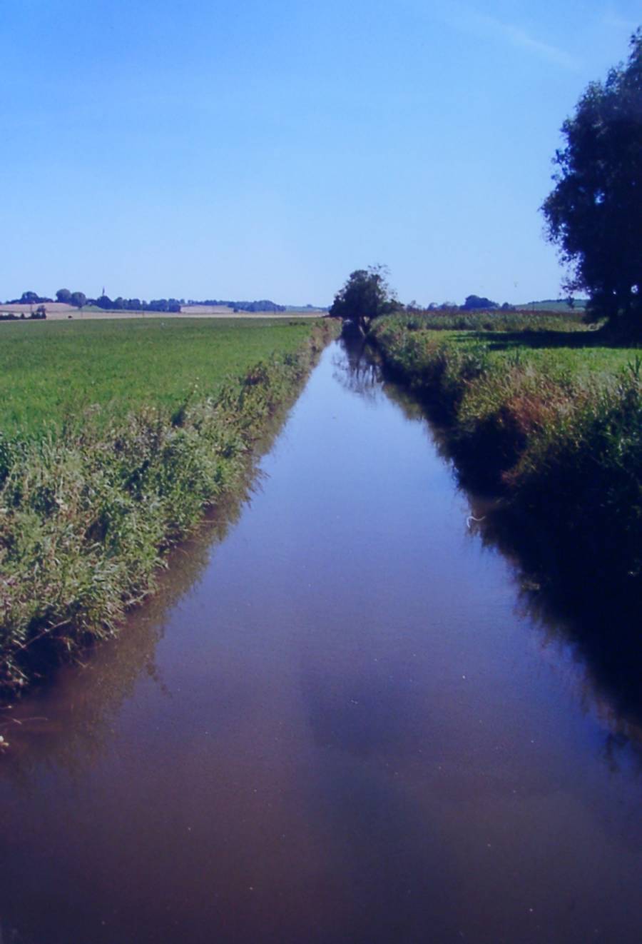 Die Glonn bei Odelzhausen. Der Flussverlauf ist ohne jegliche Flussschleifen. Die Glonn fließt monoton in ihrem künstlichen Flussbett.