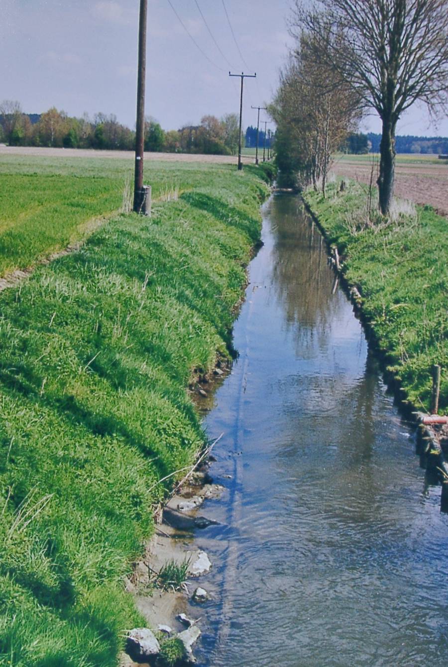 Der Rothbach bei Niederroth.<br>Er fließt in einem monotonen,<br>künstlich angelegten Flussbett<br>mit Uferbefestigung. Die Ufer sind<br>viel zu steil, das Bachbett<br>zu tief eingegraben:<br><strong>Das Wasser hat zu wenig Raum!</strong>