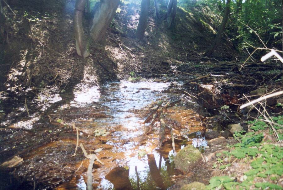 Quellbächlein der Glonn in Mittelstetten