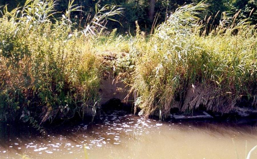 Einleitung der Kläranlage Odelzhausen in die Glonn 2001.