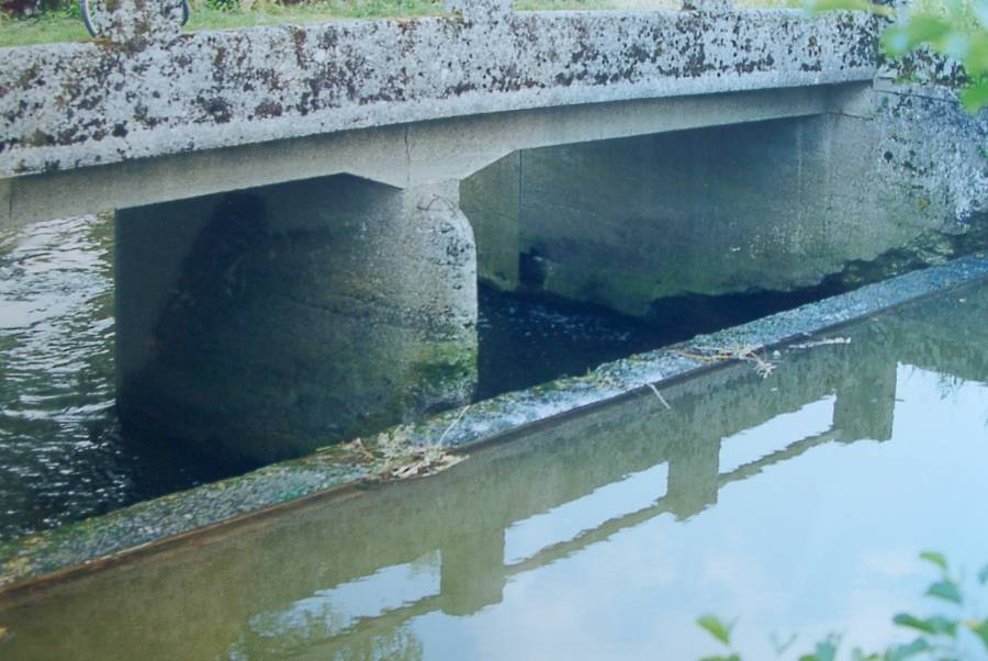 <strong>Wehr in Petershausen</strong> - Durch das Anstauen des Wassers wird die Selbstreinigungskraft stark beeinträchtigt. Es setzen sich Schmutzstoffe, Abwasserschlamm und Sedimente ab. Sie verbrauchen mehr Sauerstoff, als angeführt wird.