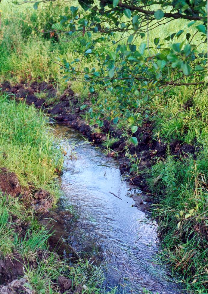 ... sondern in einem ausreichenden Bachbett sichtbar durch die Landschaft fließen. Renaturierter Abschnitt des Miegerbaches bei Odelzhausen.