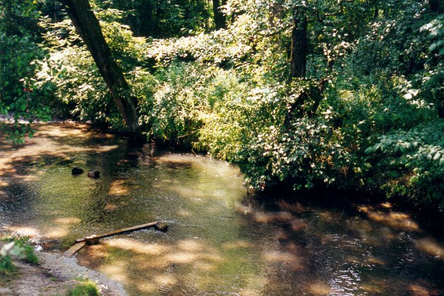 Aue und Fluss sollen eine Einheit bilden, wie hier an der Ilm bei Reichertshausen. Der Wasserstand der Ilm ist nur knapp unter den Uferbereichen.