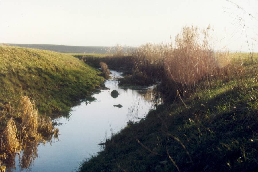 Der Kollbach bei Petershausen 1987.<br>Das künstlich angelegte Bachbett verengt sich nach ein paar Jahren sehr stark durch die Bodenerosion.