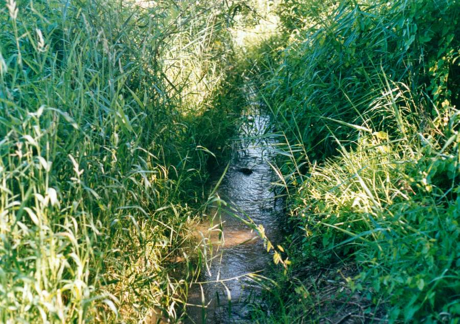 Der Kollbach 2001.<br>Das Wasser ist in dem durch Bodenerosion verengten Bachbett kaum noch zu sehen. Das Bachbett ist zu tief eingegraben und zu steil, was zu starken Einschwemmungen führt.